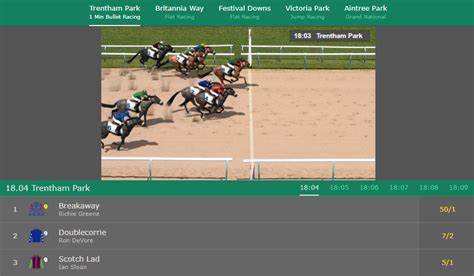 bet365 horse|bet365 virtual horse racing.